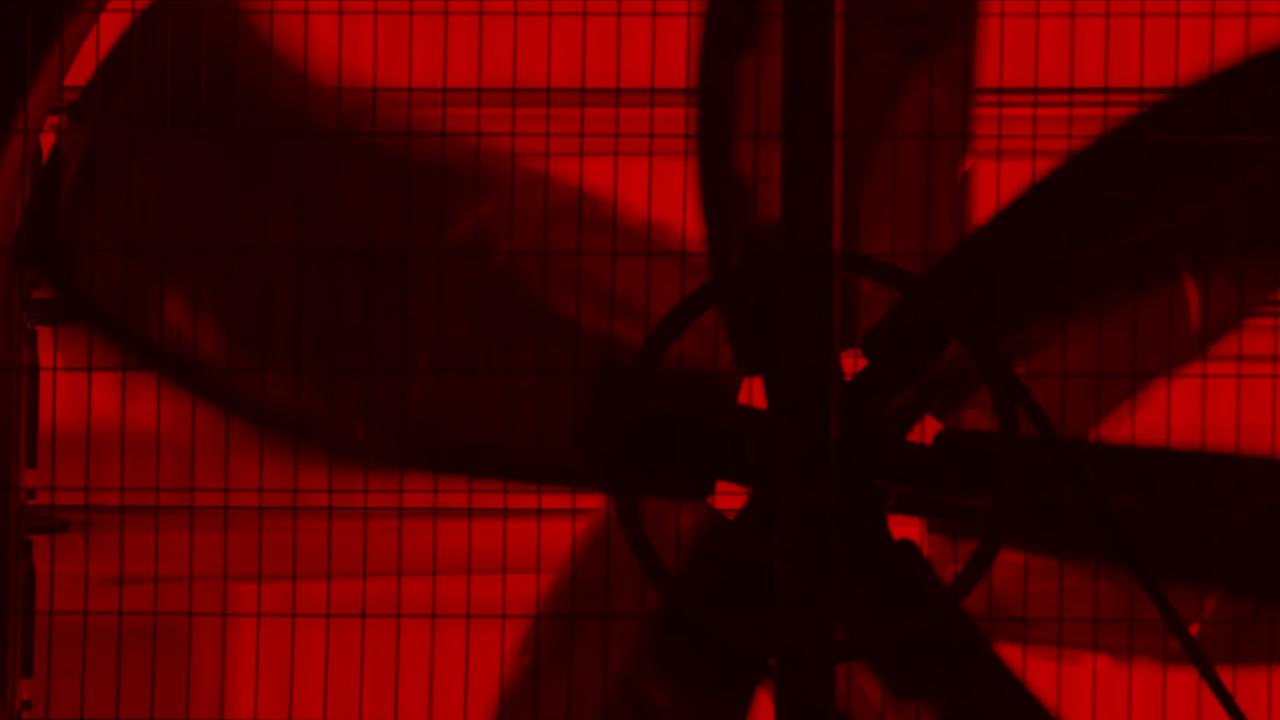 Dark fan in front of a red background