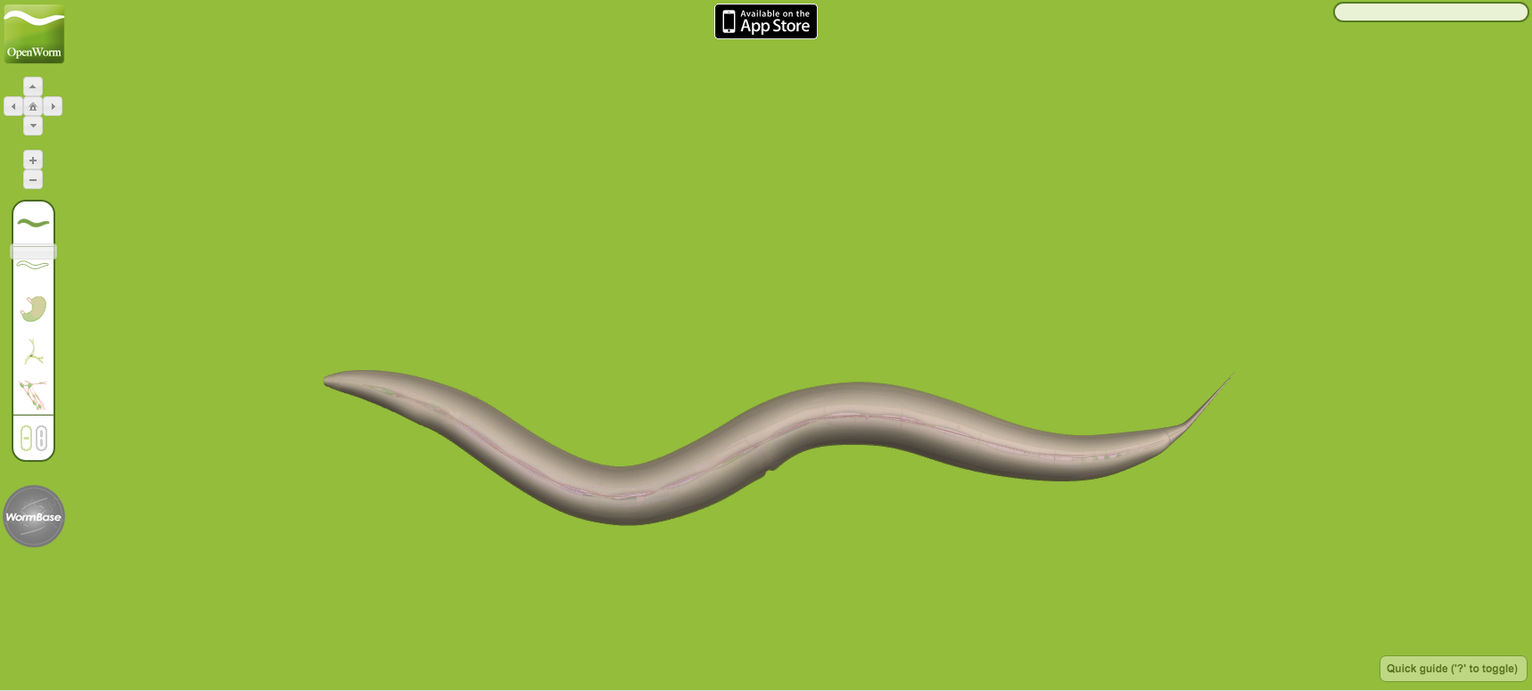 An animated worm against a green background.