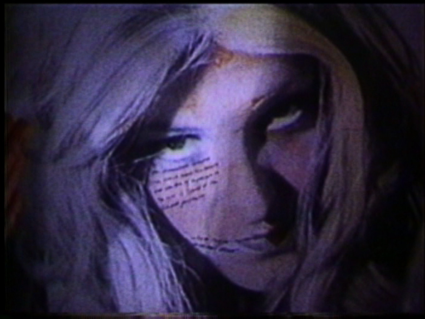 Inside/Outside Lynn Hershman