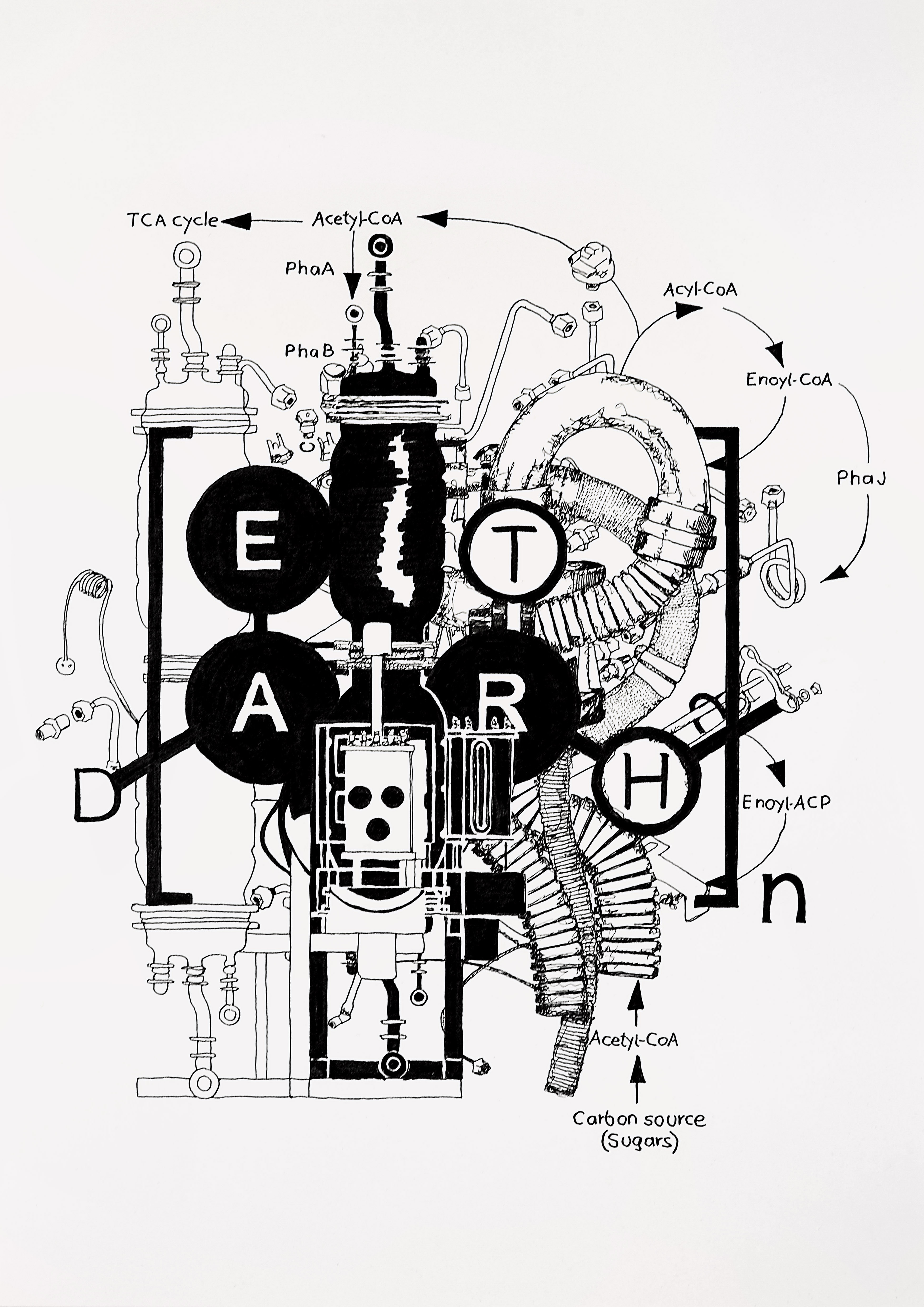 Thomas Feuerstein: Metabolica