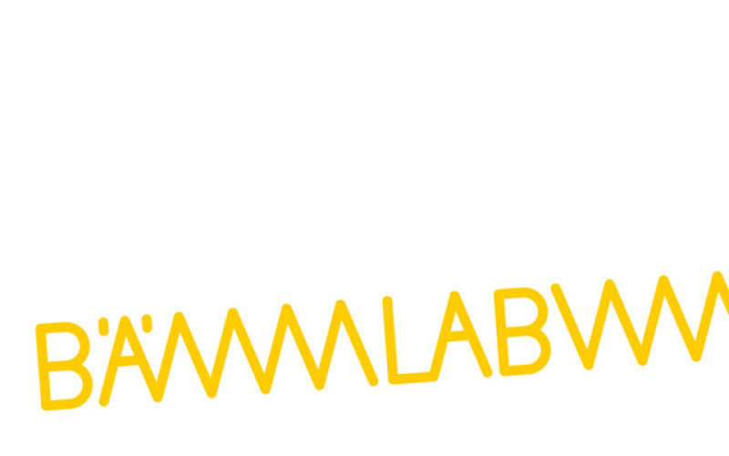 Yellow types: BÄMLAB