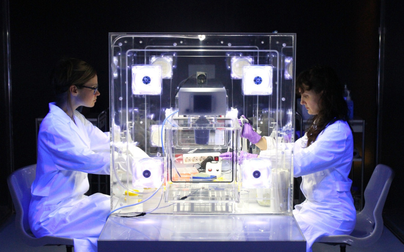 Two women on a lab bench