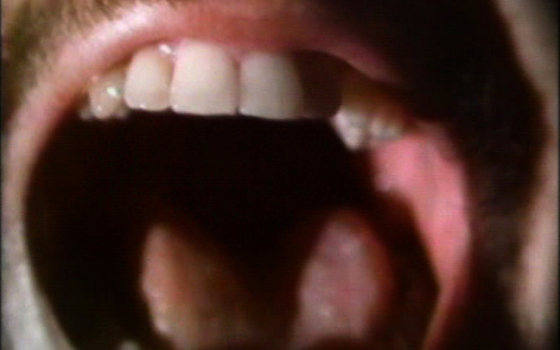 Werk - The Space Between the Teeth - s09102.jpg