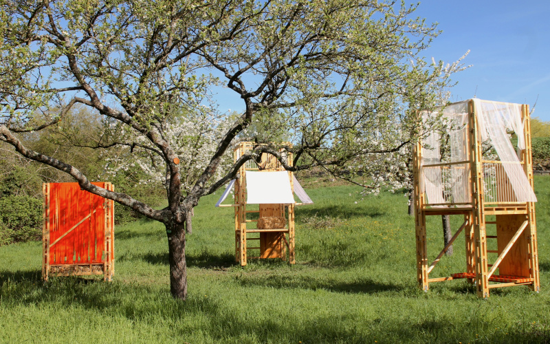  You can see a green meadow on which there are several raised seats in the middle of trees.