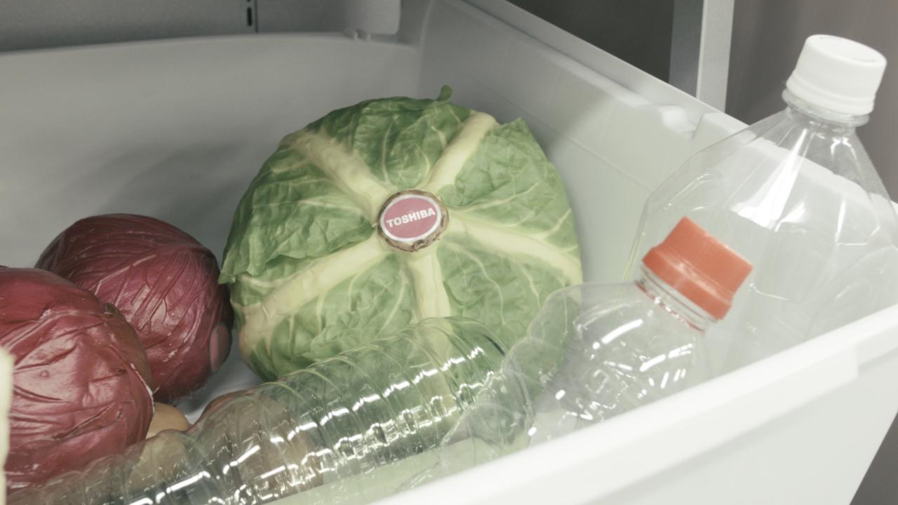 Full refrigerator drawer with a Toshiba sticker on a cabbage head