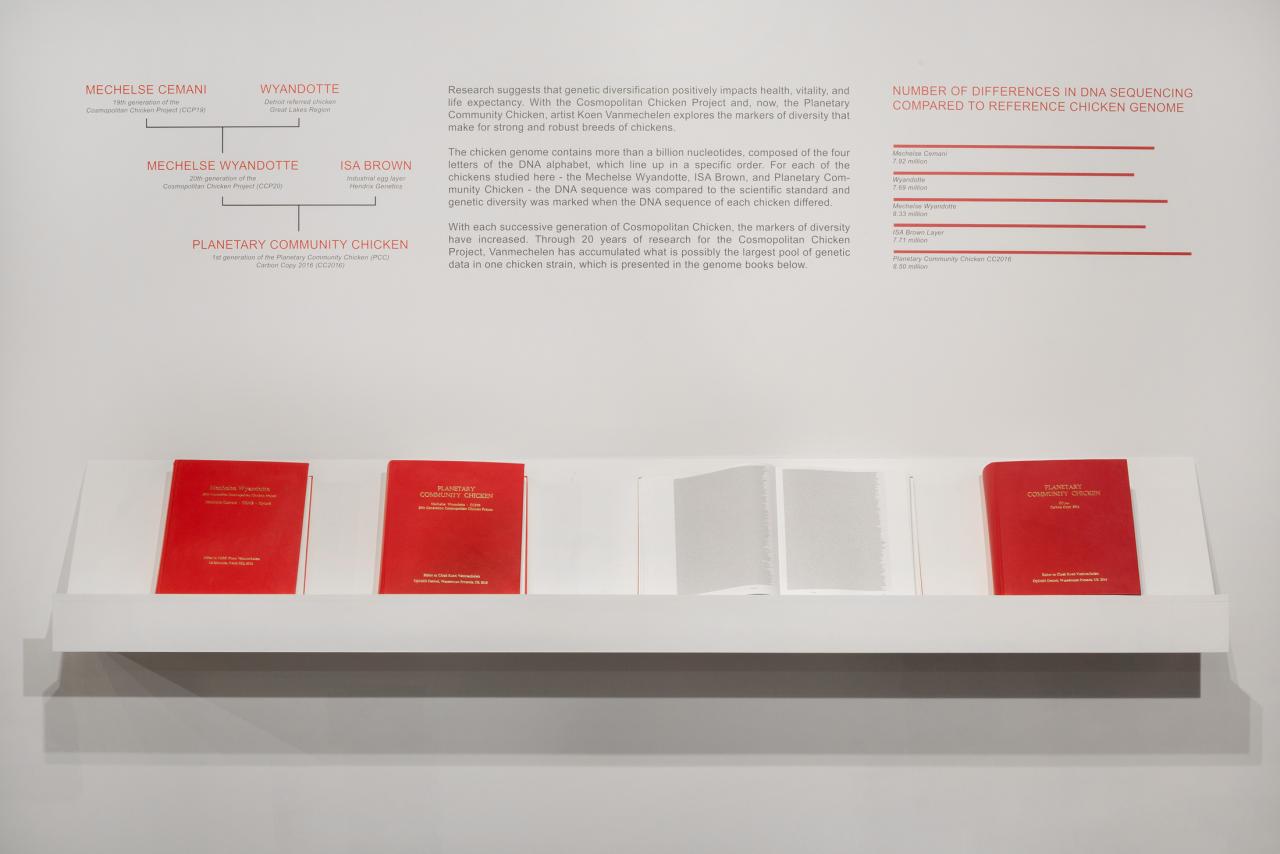 Wall display with text and red books on display