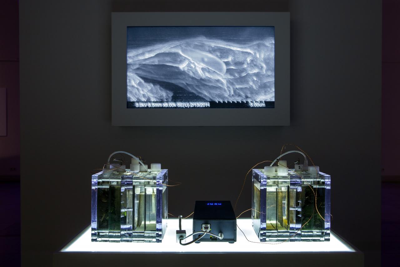 Installation with illuminated containers, a battery and a screen in the background