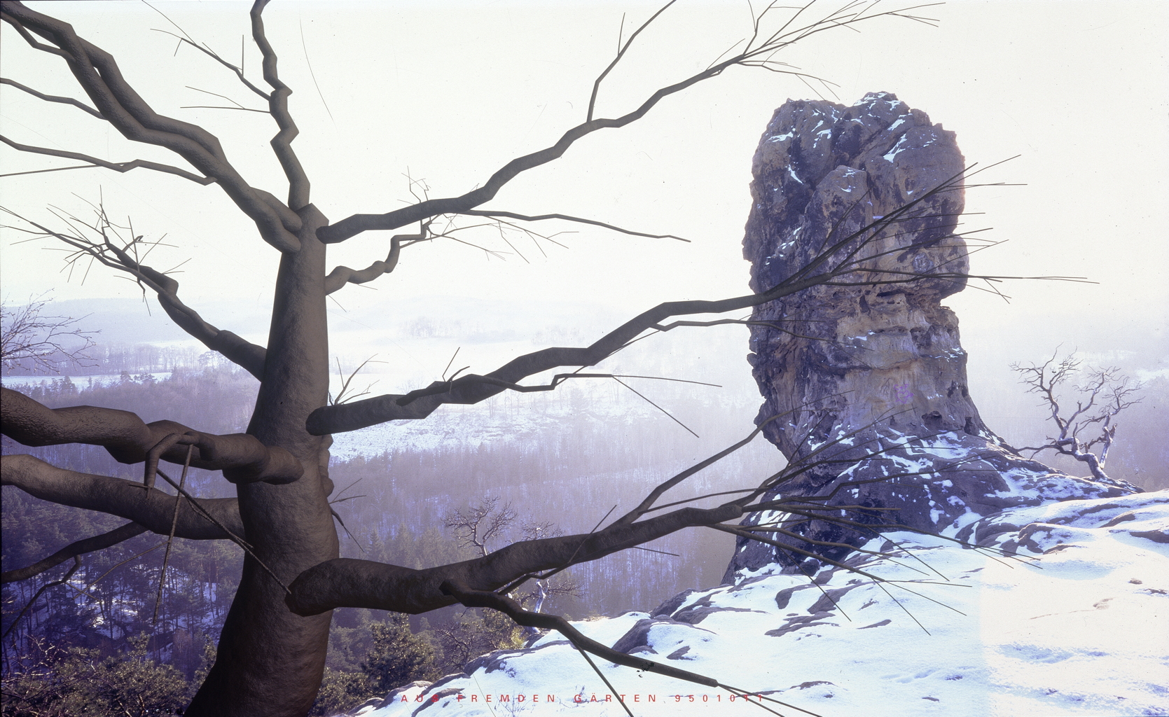 AUS FREMDEM GÄRTEN 9501011 (Felsen)