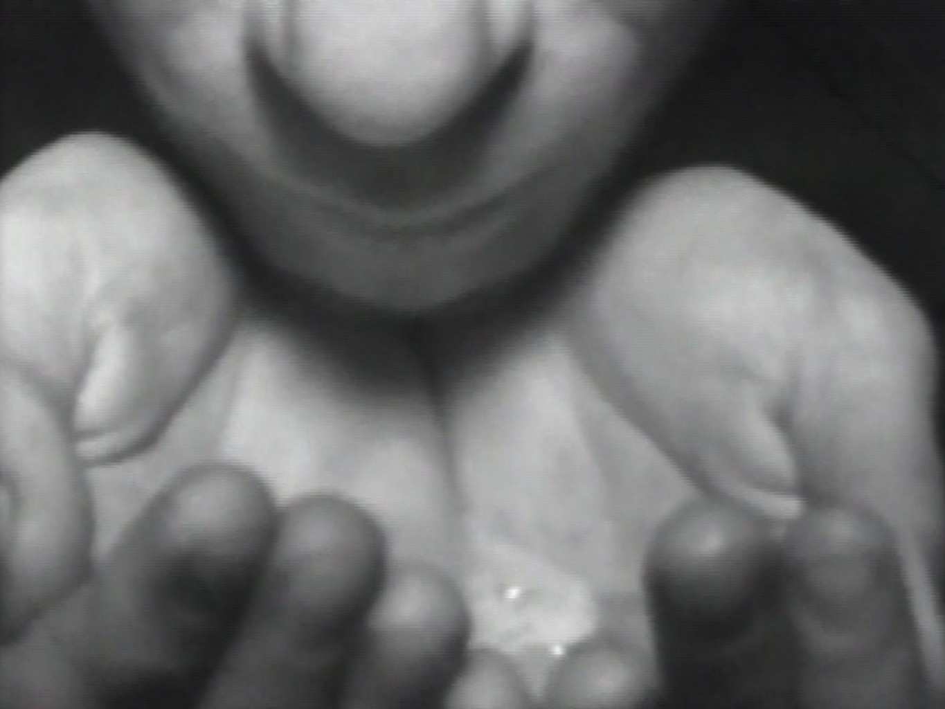 Werk - Waterways: Four Saliva Studies - s029101.jpg