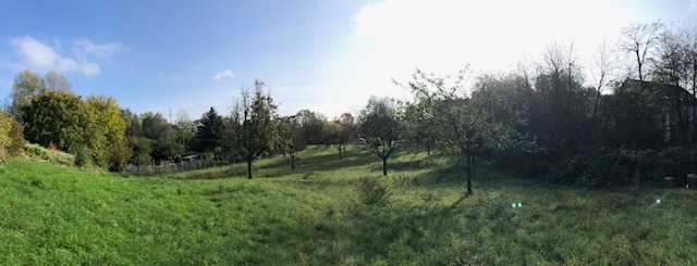 Blick auf die ZKM Streuobstwiese