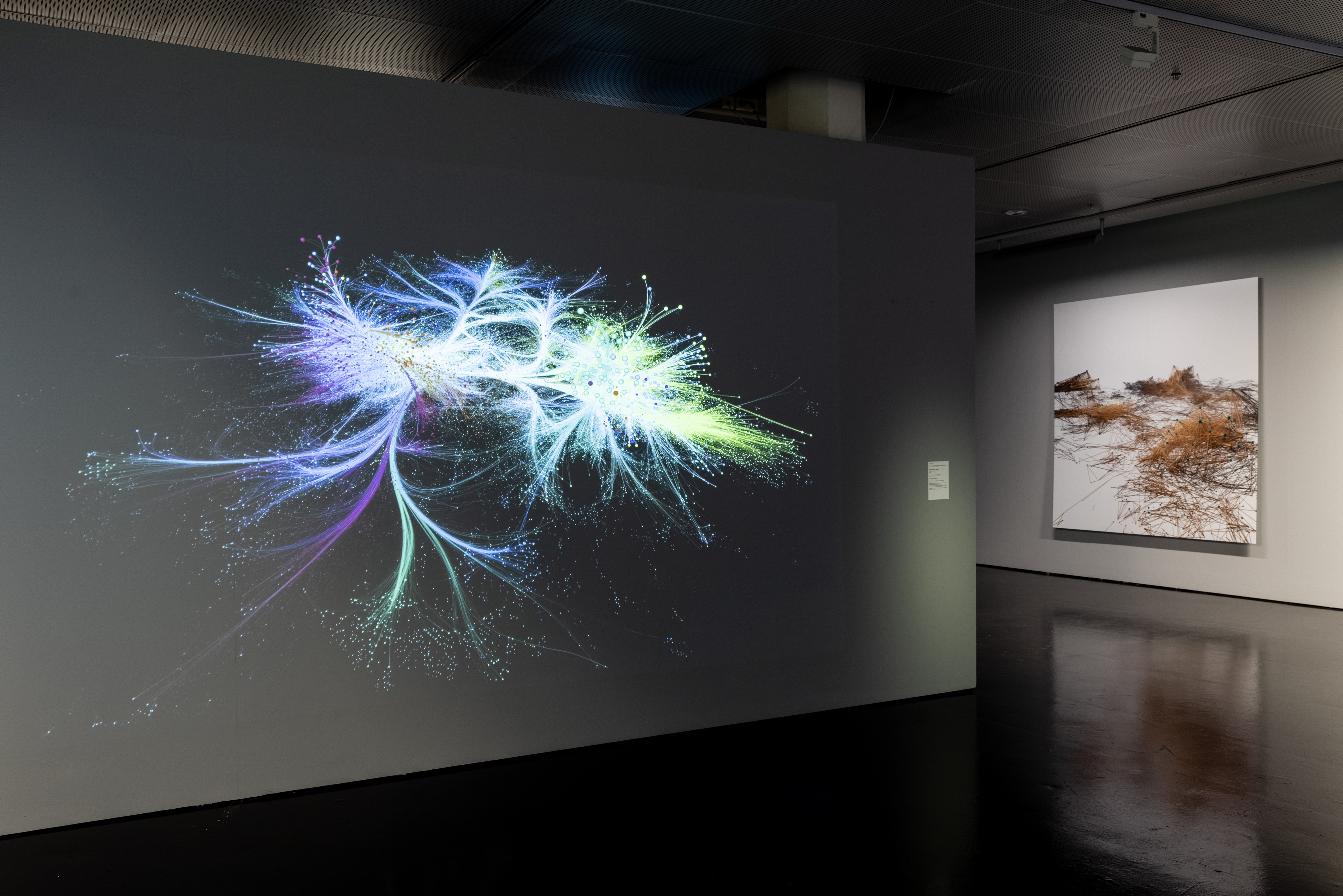 Two large canvases. The left one shows a network that spreads from the inside to the outside. The right one shows a network like small piles lying next to each other.