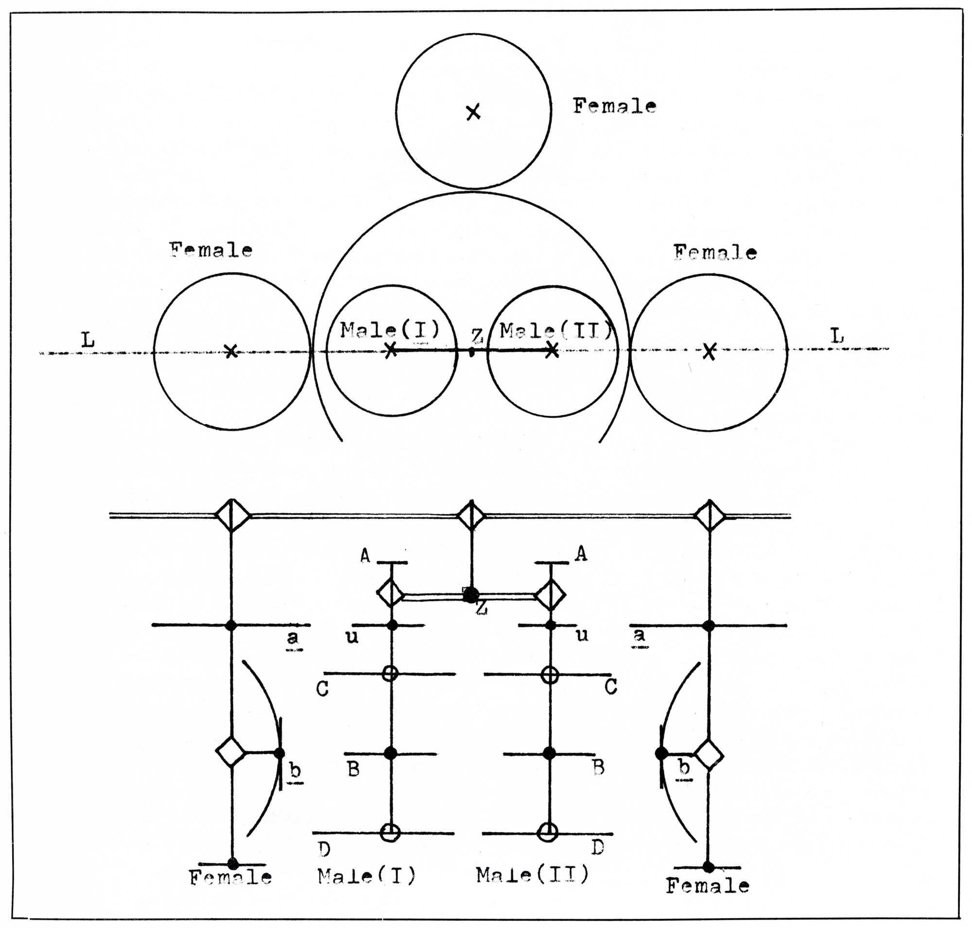 A rough sketch of powered mobiles The Colloquy of Mobiles.