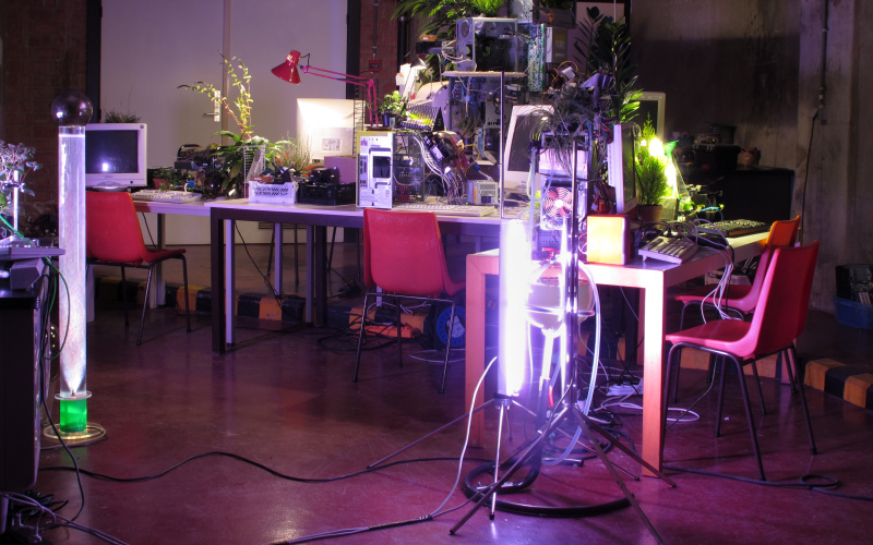 There is a hodge-podge of plants computers, screens and desklamps on a table.